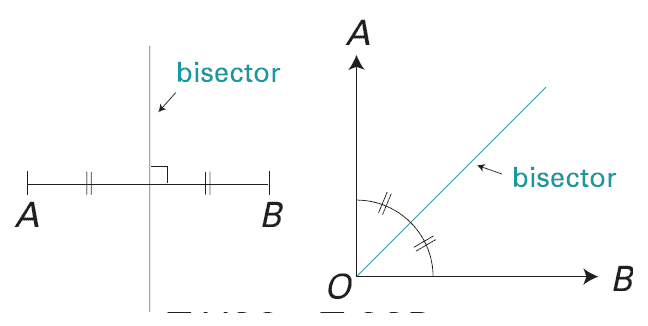 bisector